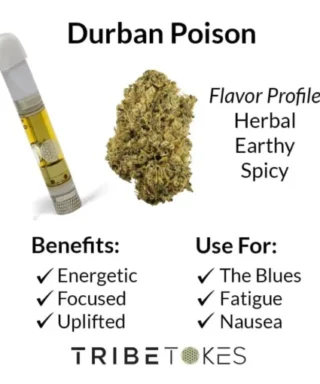 Durban Poison is an energizing sativa strain with uplifting effects, a sweet earthy flavor, and a creative, clear-headed high