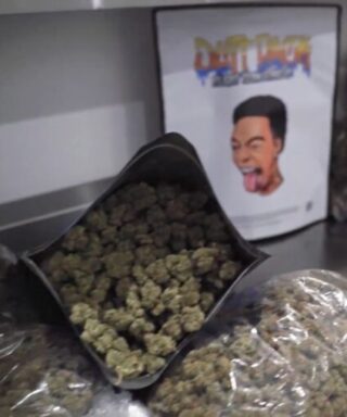 Dutt Pack Weed Strawberry Champagne offers premium, flavor-rich hybrid flower in pound wholesale—perfect for retailers, bulk buyers, and high-end cannabis