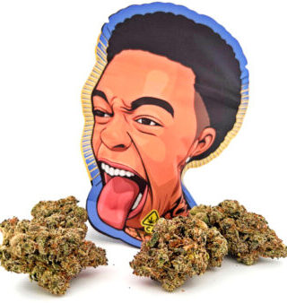 Strawberry Champagne Dutt Pack Weed Pound Bag (448g) offers premium, flavor-rich hybrid flower—perfect for bulk buyers, retailers, and cannabis
