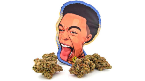 Strawberry Champagne Dutt Pack Weed Pound Bag (448g) offers premium, flavor-rich hybrid flower—perfect for bulk buyers, retailers, and cannabis